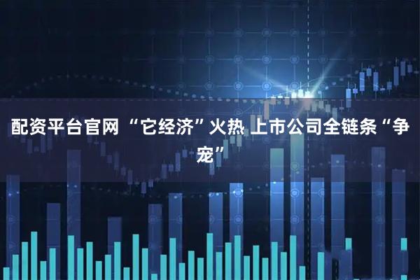 配资平台官网 “它经济”火热 上市公司全链条“争宠”